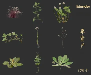 小草blender资产库景观植物花卉3D模型005