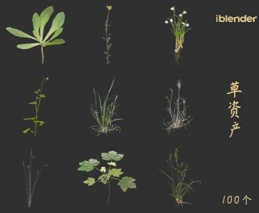 小草blender资产库景观植物花卉3D模型006