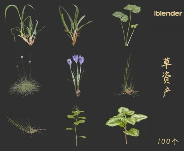 小草blender资产库景观植物花卉3D模型007