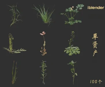小草blender资产库景观植物花卉3D模型008