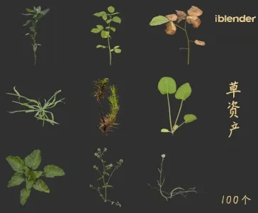 小草blender资产库景观植物花卉3D模型009