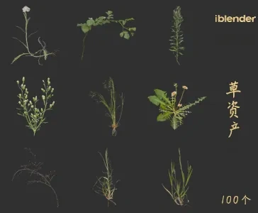 小草blender资产库景观植物花卉3D模型010