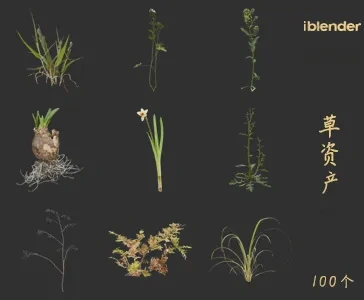 小草blender资产库景观植物花卉3D模型011