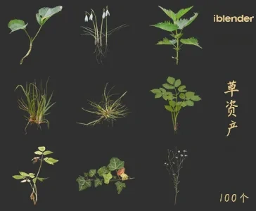 小草blender资产库景观植物花卉3D模型013