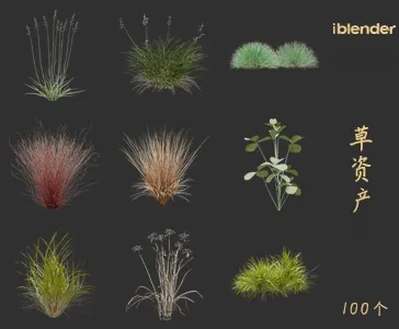 小草blender资产库景观植物花卉3D模型032
