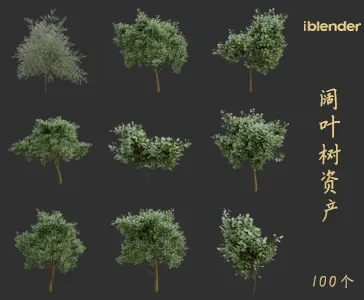 阔叶树blender资产库景观植物花卉3D模型005