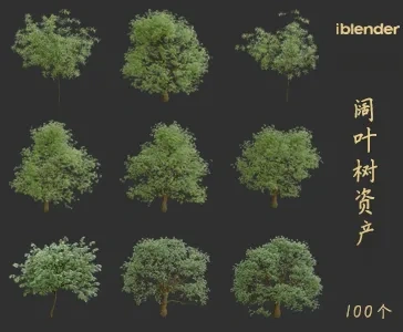阔叶树blender资产库景观植物花卉3D模型025