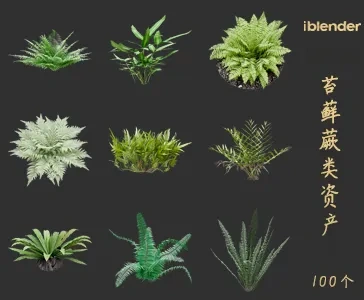 blender苔藓蕨类植物资产库景观植物花卉3D模型002