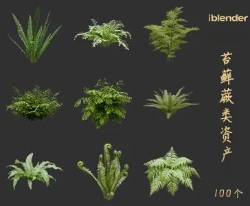 blender苔藓蕨类植物资产库景观植物花卉3D模型003