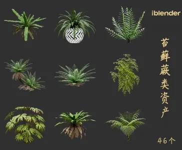 blender苔藓蕨类植物资产库景观植物花卉3D模型004