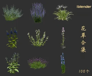 blender花草资产库景观植物花卉3D模型005