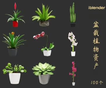 blender盆栽植物资产库景观植物花卉3D模型002