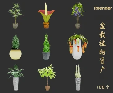 blender盆栽植物资产库景观植物花卉3D模型003