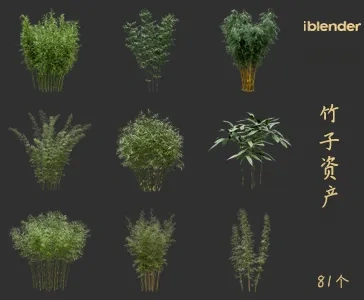 blender竹子资产库景观植物花卉3D模型003