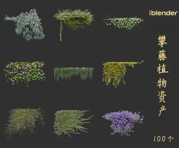 blender攀藤植物资产库景观植物花卉3D模型004