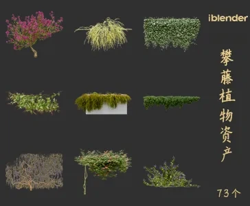 blender攀藤植物资产库景观植物花卉3D模型006