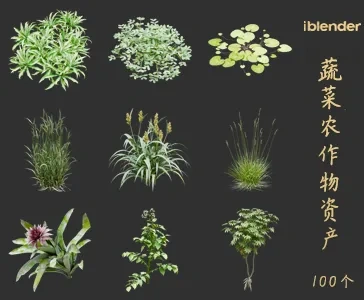blender蔬菜农作物资产库景观植物花卉3D模型006