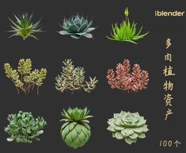 blender多肉植物资产库景观植物花卉3D模型001