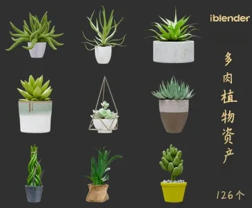 blender多肉植物资产库景观植物花卉3D模型002