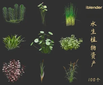 blender水生植物资产库景观植物花卉3D模型002