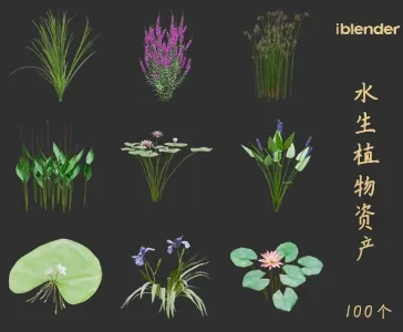 blender水生植物资产库景观植物花卉3D模型003