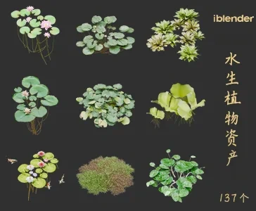 blender水生植物资产库景观植物花卉3D模型004