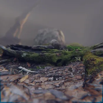 blender角色模型资产ID00049蜥蜴动画绑定