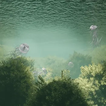 CG场景blender模型资产ID1845水母