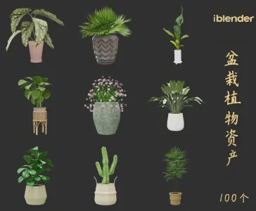 blender盆栽植物资产库景观植物花卉3D模型004