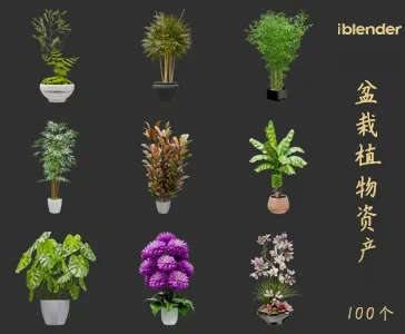 blender盆栽植物资产库景观植物花卉3D模型005