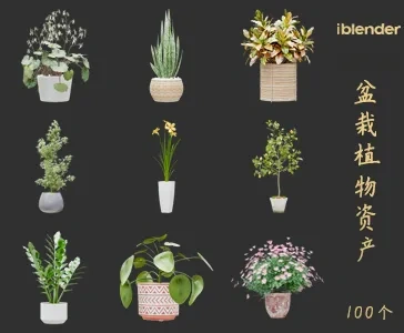 blender盆栽植物资产库景观植物花卉3D模型007