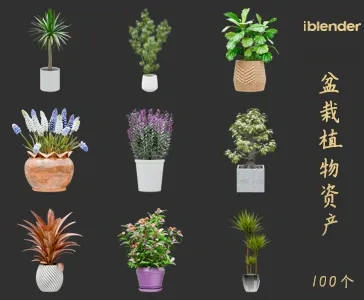 blender盆栽植物资产库景观植物花卉3D模型008