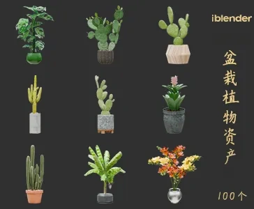 blender盆栽植物资产库景观植物花卉3D模型009