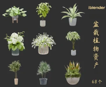 blender盆栽植物资产库景观植物花卉3D模型011