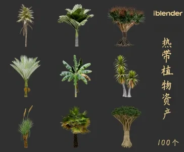 blender热带植物资产库景观植物花卉3D模型004