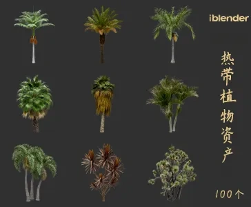 blender热带植物资产库景观植物花卉3D模型008