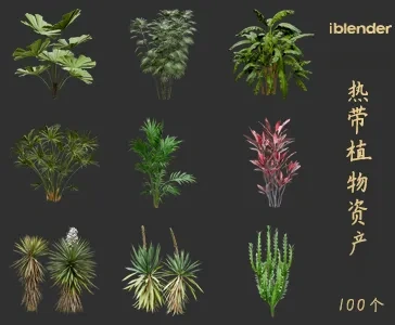 blender热带植物资产库景观植物花卉3D模型011