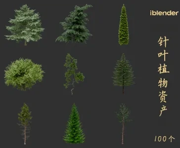blender针叶植物资产库景观植物花卉3D模型016