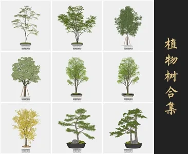 0370植物树SU模型SketchUp草图大师模型下载