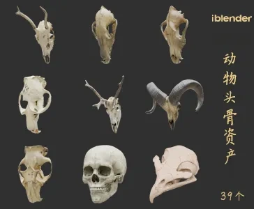 动物头骨Blender资产库-角色动物3D模型